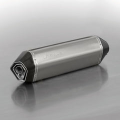 BMW S 1000 RR ab 09, Hexcone T HEXACONE, titanium silencer