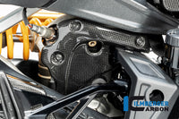 Exhaustprotection on the manifold Diavel 1260