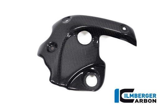 Exhaustprotection on the manifold Diavel 1260