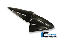 Exhaust heat shield on silencer Ducati Diavel