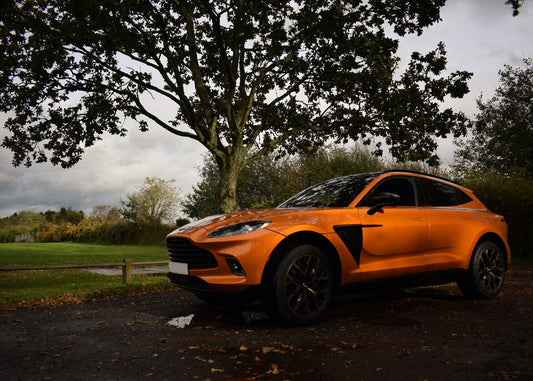 Aston Martin DBX Sport System w/ Sound Architect