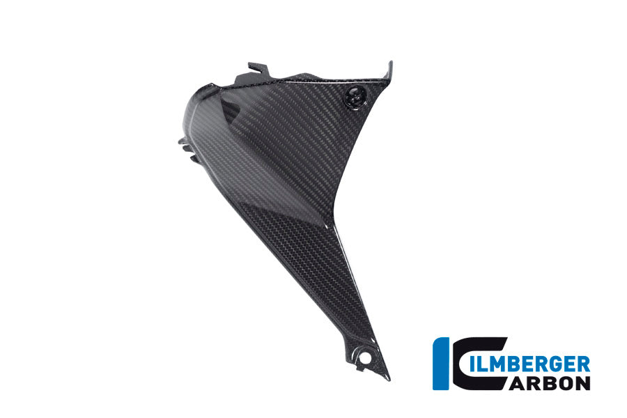Cover near the Instrument left Side BMW R 1250 RS´19