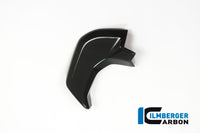 Cover near the instrument left side surface Ducati MTS'15