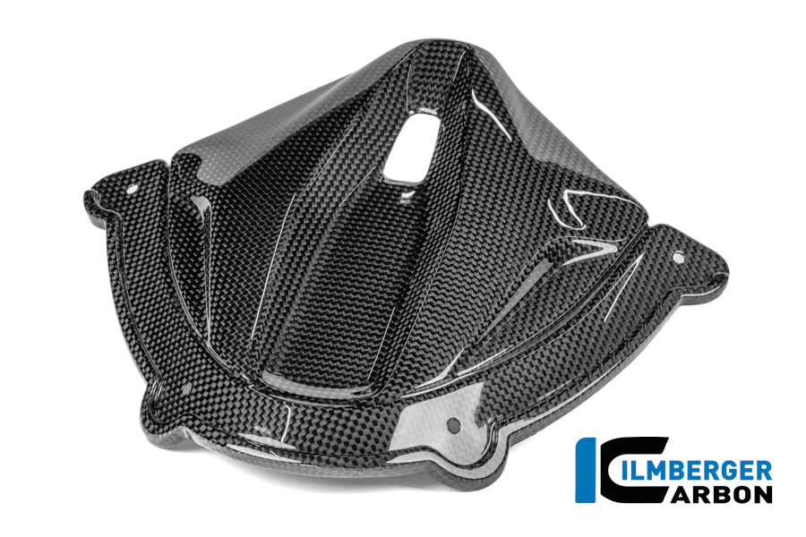 Instrument cover carbon gloss Panigale V4 2025