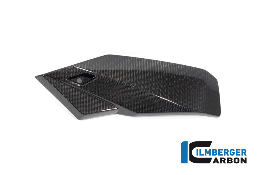 Bellypan left side BMW S 1000 R MY from 2021 / M 1000 R MY from 2023
