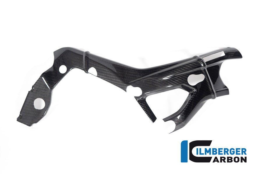 Frame Cover right side BMW S 1000 R MY from 2021 / M 1000 R MY from 2023