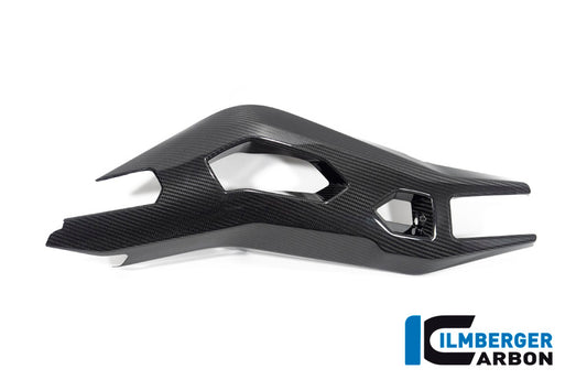 Swing Arm Cover left side BMW S 1000 XR from MY 2020
