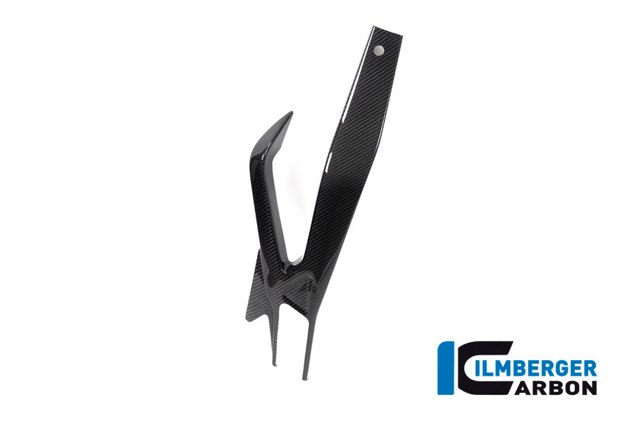 Swing arm cover left BMW S 1000 RR from MY 2019