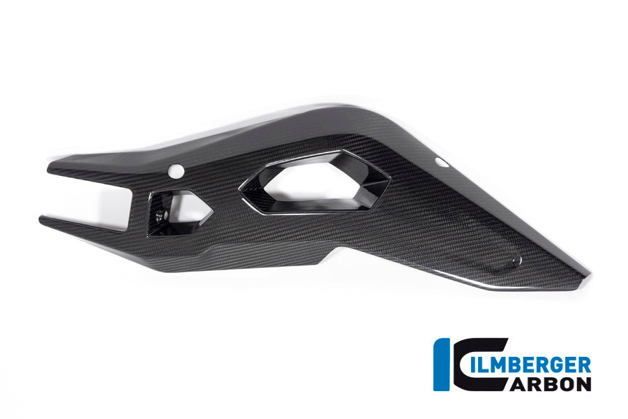 Swing Arm Cover right side BMW S 1000 XR from MY 2020
