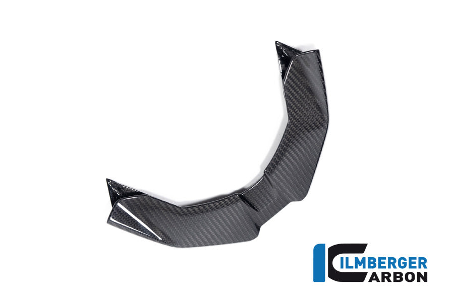 Front Beak BMW M 1000 XR 2024