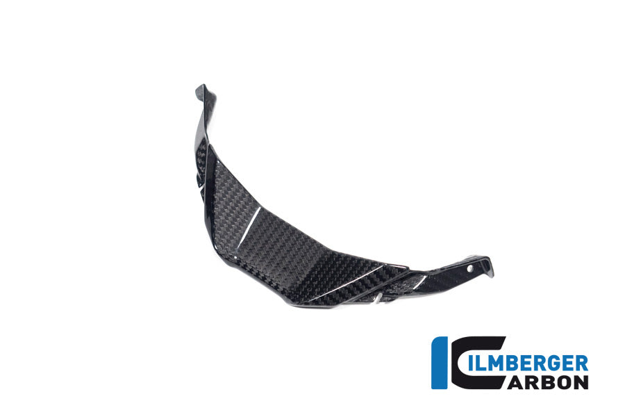 Fairing middle part street BMW S1000RR 2023