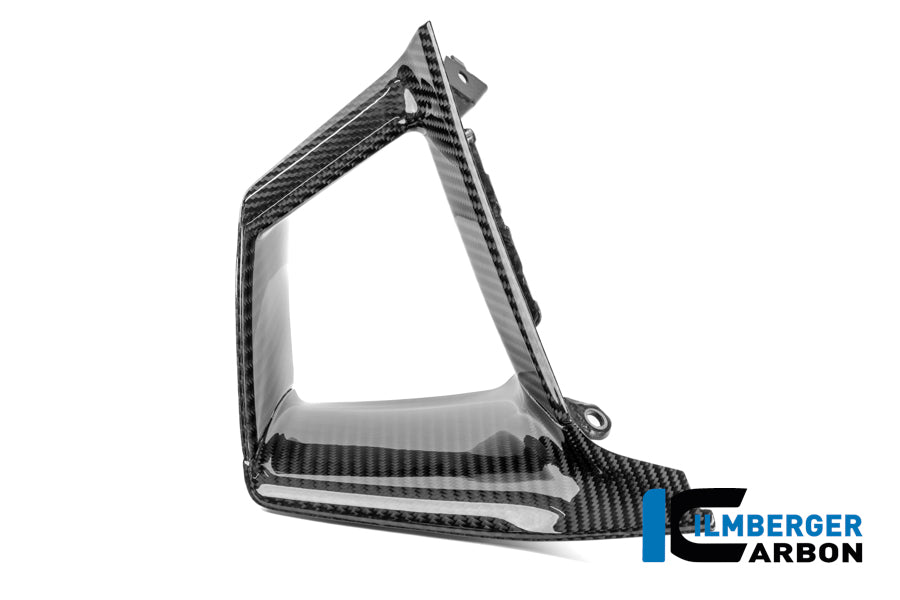 Inner Wing Left Carbon Gloss S 1000 RR Street (from 2025)