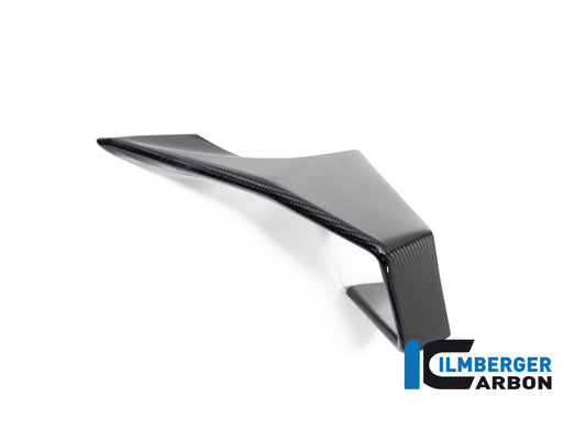 Winglet left side BMW M 1000 RR MY from 2023