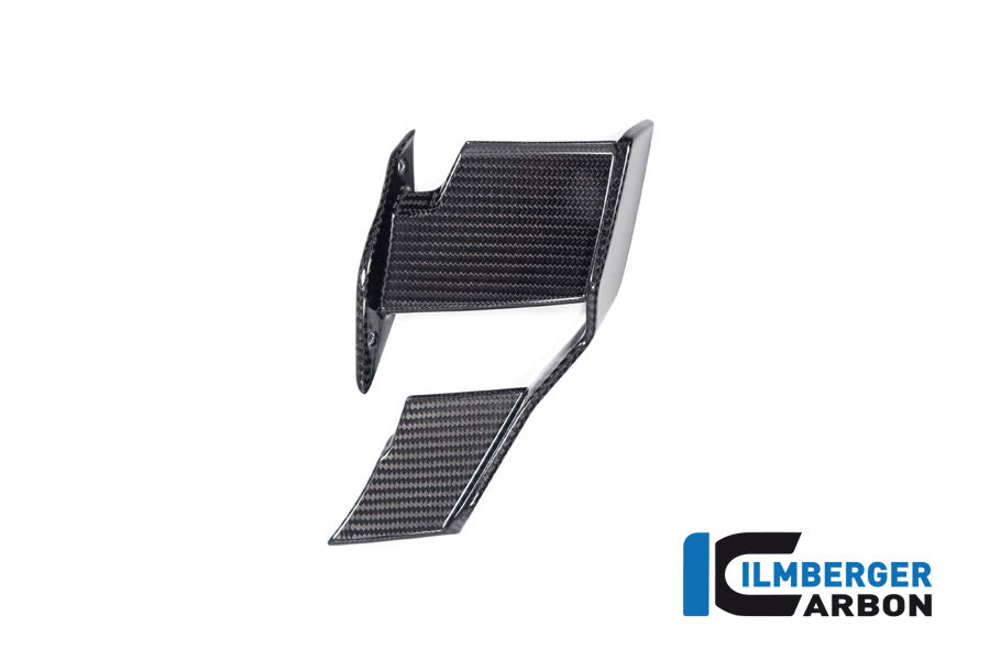Winglet left BMW M1000R 2023
