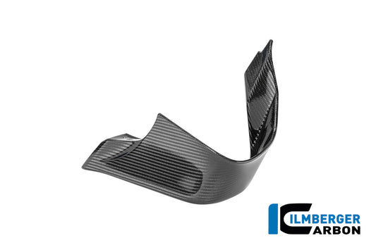 Left winglet BMW M 1000 RR 2025