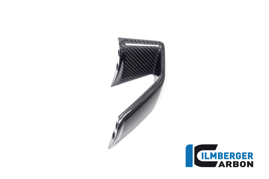 Fairing Side Winglet left side BMW S 1000 R MY from 2021