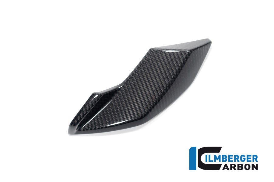 Side Cover Headlight right side BMW S 1000 R MY from 2021 / M 1000 R MY from 2023