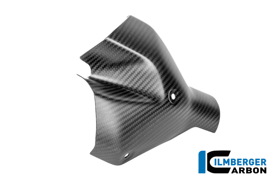 Front exhaust heat shield carbon matte BMW R 1300 R