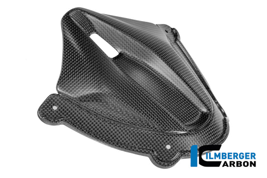 Instrument cover carbon matte Panigale V4 2025