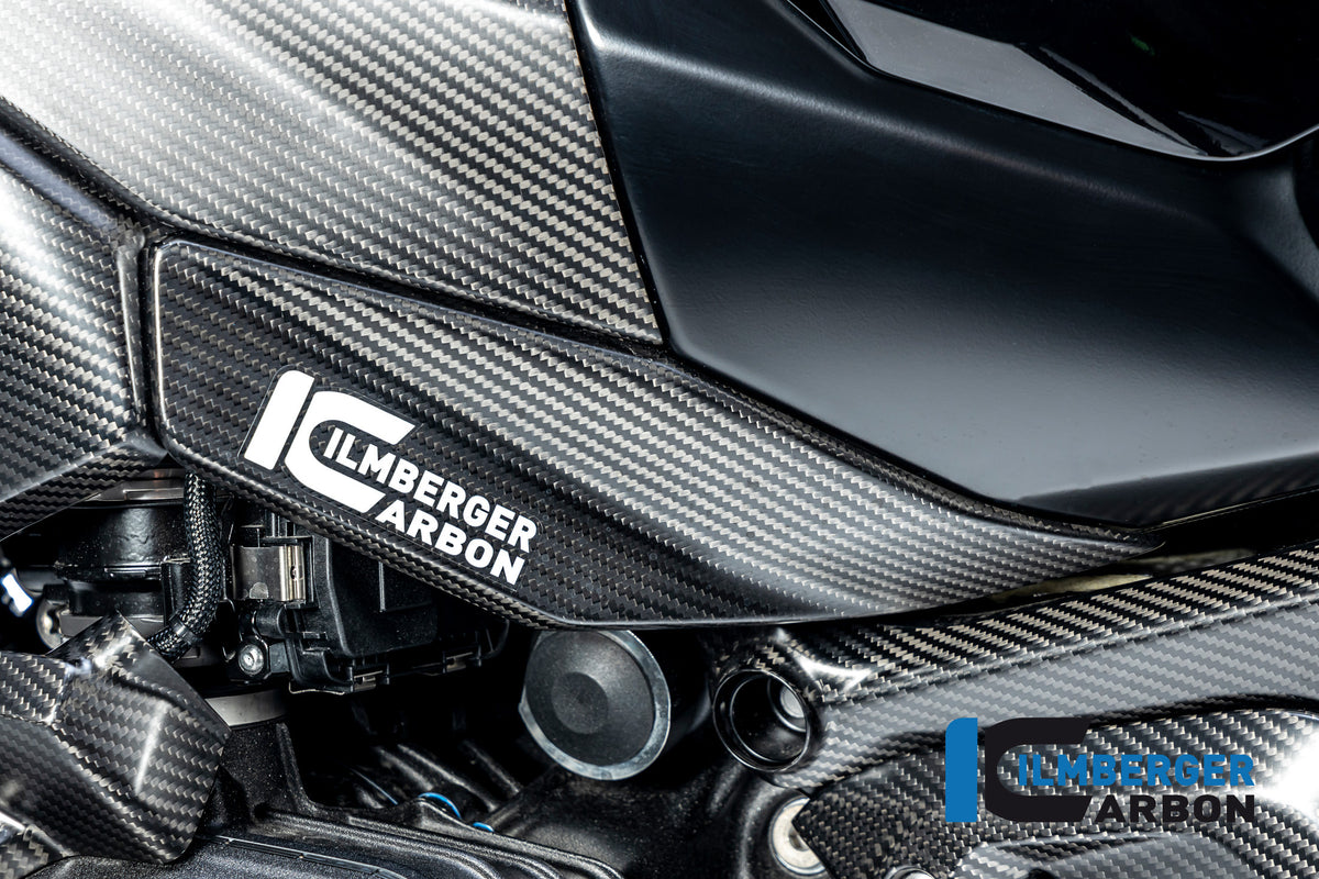 Lower tank cover left BMW R 1300 GS from 20'23