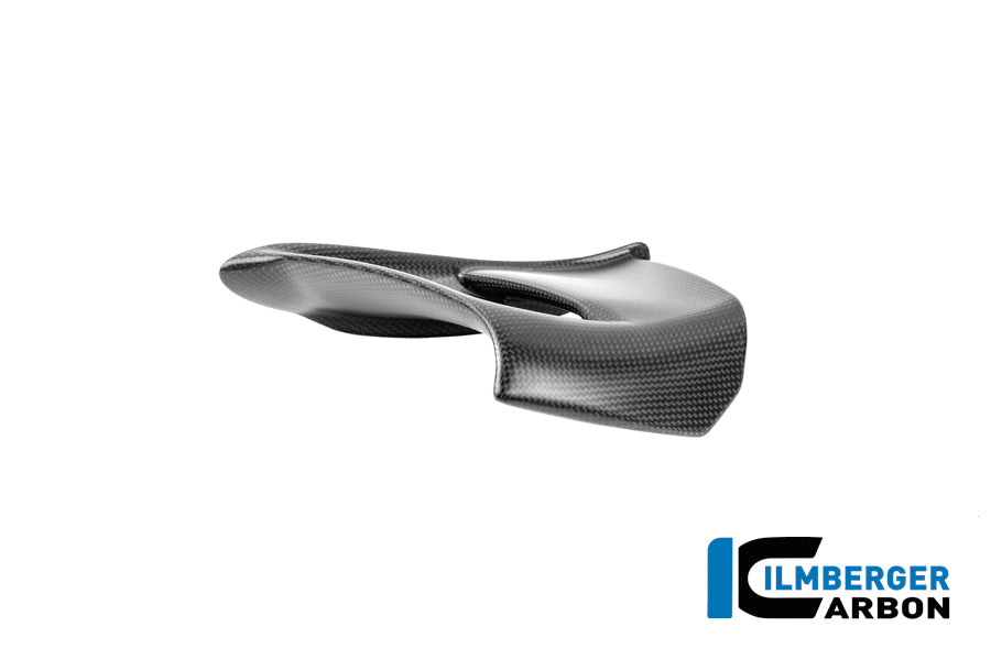 Left Winglet Panigale V4 2025