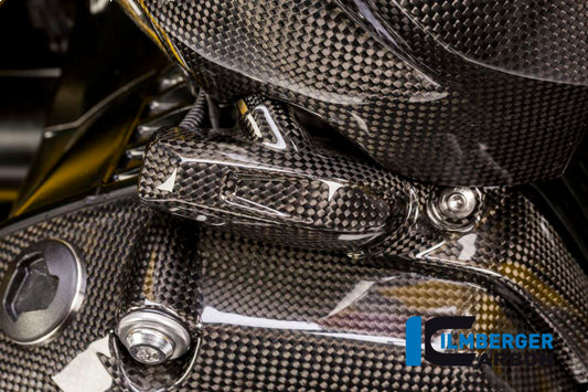 Injector cover right Carbon - BMW R 1200 GS (LC) from 2013 to 2015