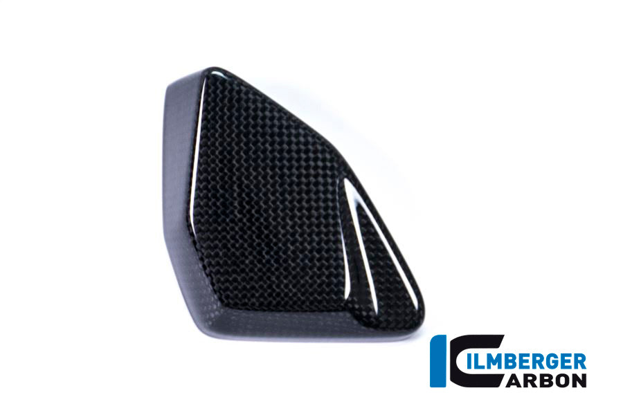 ESA Box Cover BMW R 1200 GS