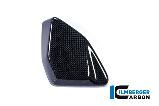 ESA Box Cover BMW R 1200 GS