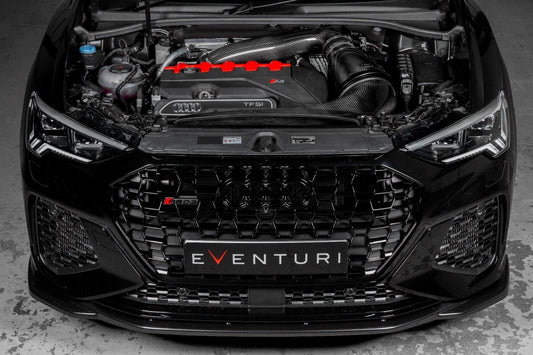 Audi RSQ3 F3 2019+ Carbon Intake