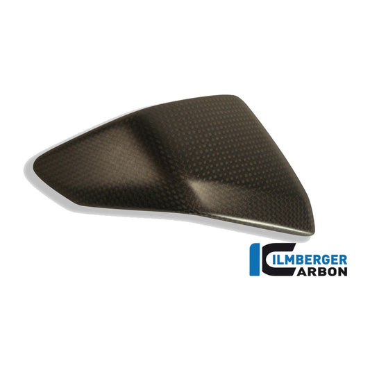 fairing insert Ducati 1199 Panigale Straße - left + right set