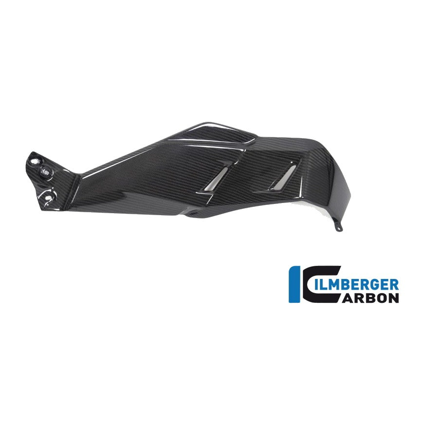 AIRVENT COVER BMW R 1250 GS - left + right set
