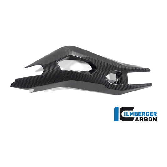 Swing Arm Cover BMW S 1000 XR from MY 2020 - left + right set