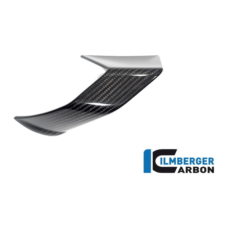 Fairing Side Winglet BMW S 1000 R MY from 2021 - left + right set