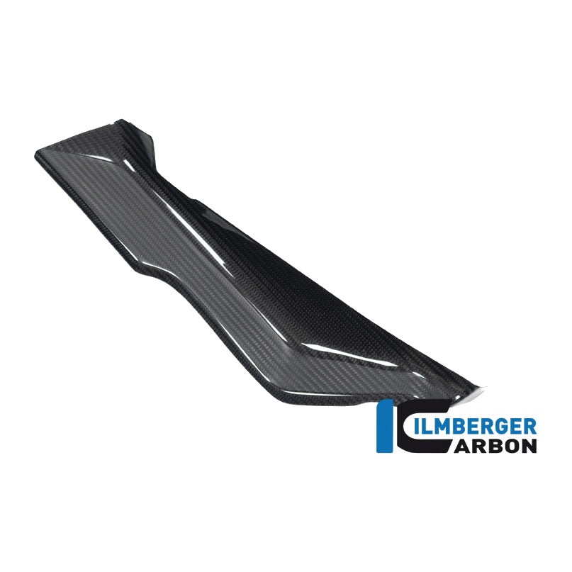 Cover under the Front Fairing BMW R 1250 RS - left + right set