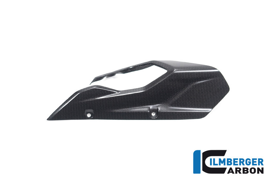 Chainguard/Swingarm matt surface Multistrada V4