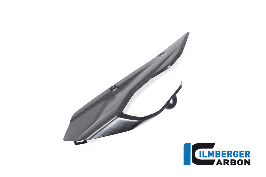 Chainguard/Swingarm surface Multistrada V4