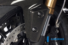 Flap on front left fender Triumph Speed Triple (2011-aktuell)