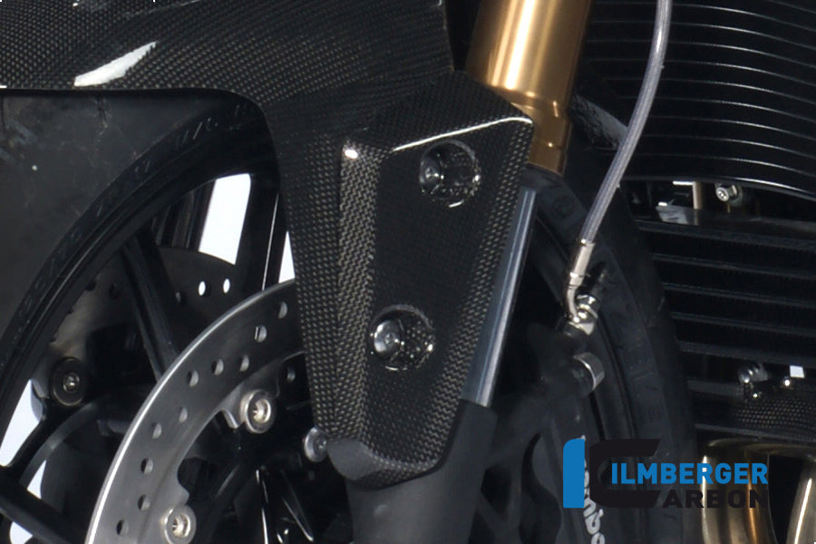 Flap on front left fender Triumph Speed Triple (2011-aktuell)