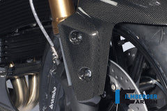Flap on front right fender Triumph Speed Triple (2011-aktuell)