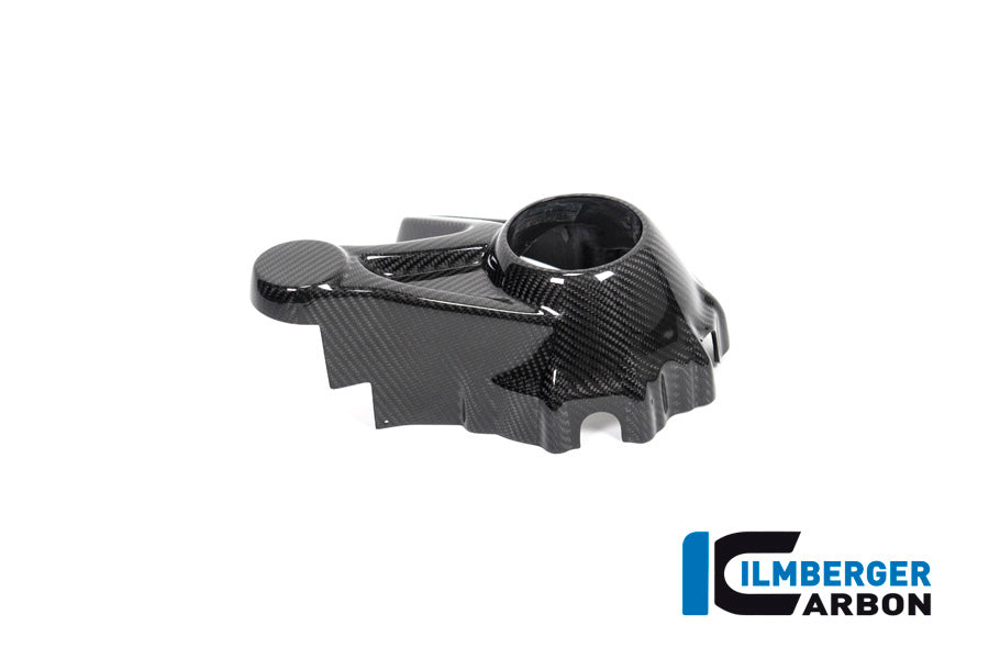 Bevel Drive Housing Protector (Mounting without Rear Splash Guard) BMW R 1250 GS