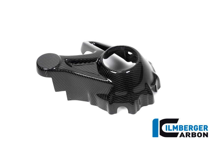 Bevel Drive Housing Protector (Mounting with rear Splash Guard) BMW R 1250 GS