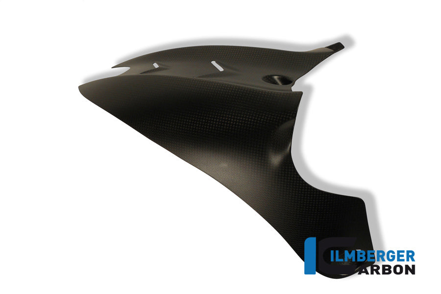 Rear fender Ducati Diavel