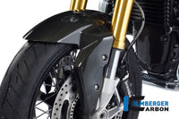 Front fender BMW R NineT