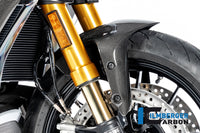 Front Mudguard Diavel 1260