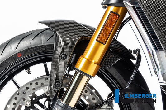 Front Mudguard Diavel 1260