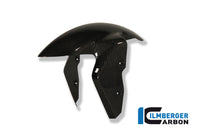 Front fender BMW S 1000 RR Stocksport