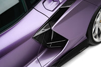 Lamborghini Revuelto Inserts side wall visible carbon