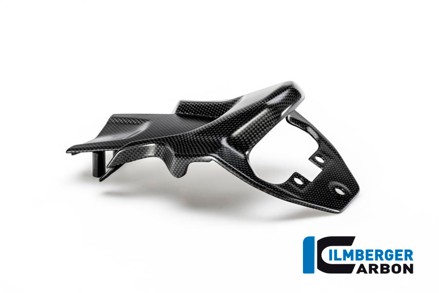 Numberplate holder surface Ducati MTS 1200'15