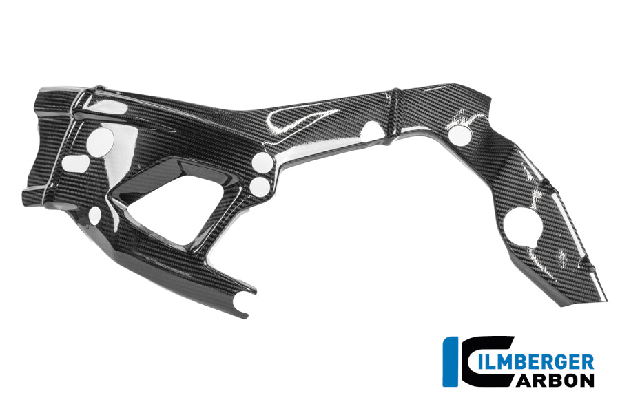 Rahmenschützer links M 1000 RR Racing (ab 2025)