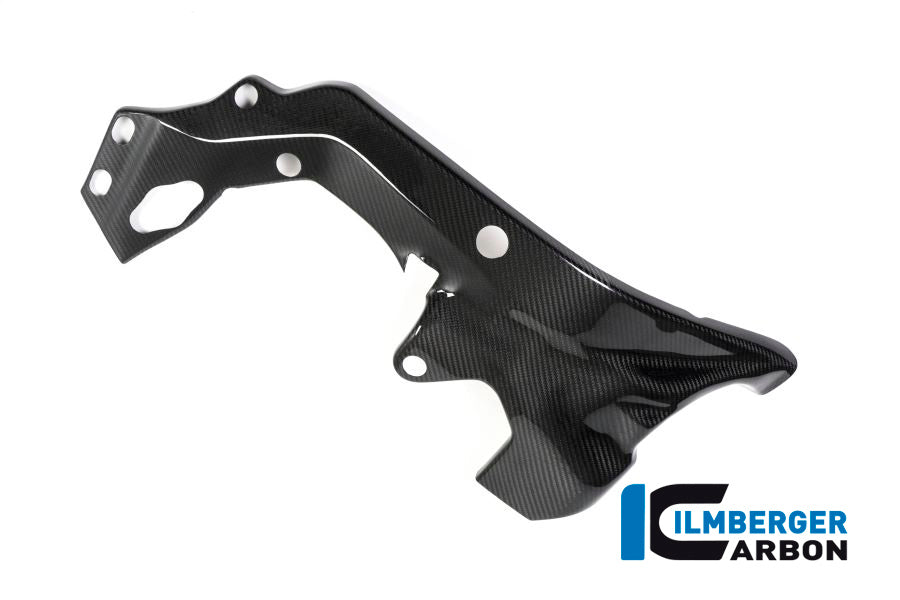 Frame Protector right side BMW HP4 RACE